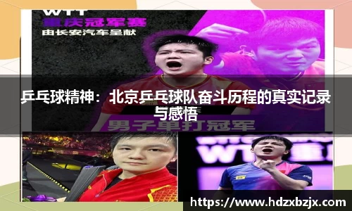 乒乓球精神：北京乒乓球队奋斗历程的真实记录与感悟